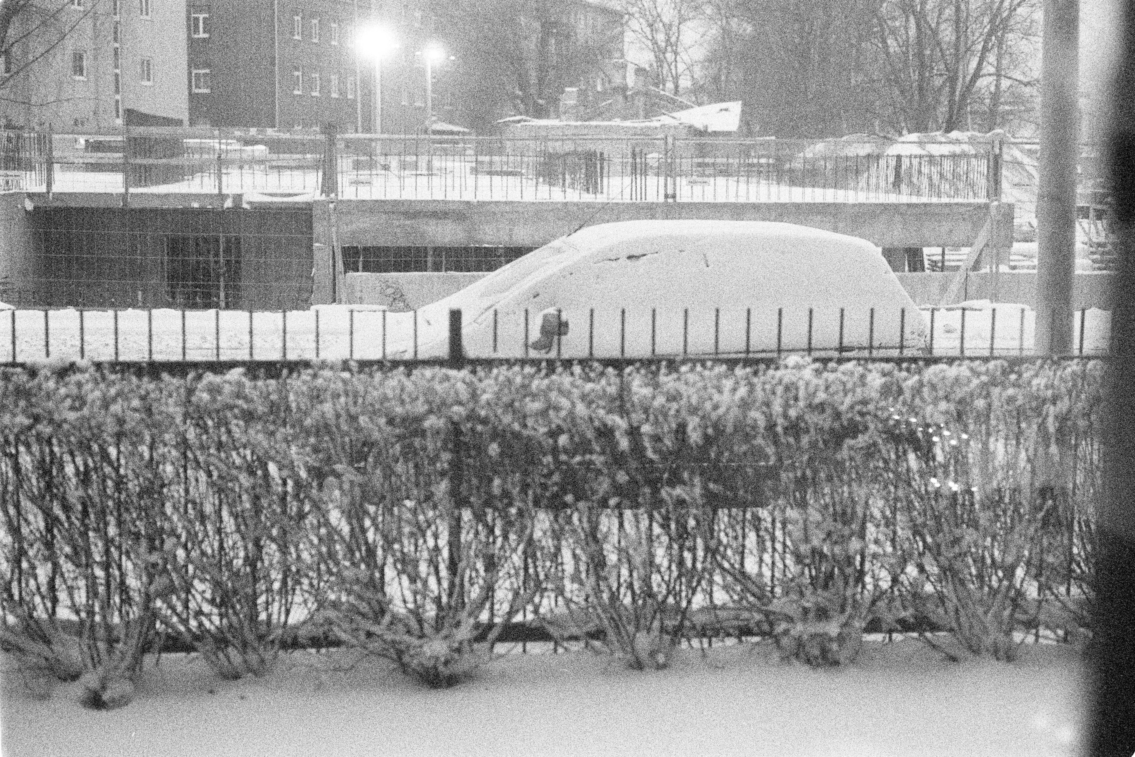Snowfall